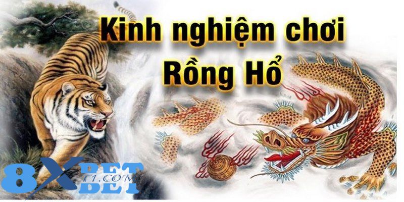 Bí kíp chơi game rồng hổ thắng lớn từ cao thủ