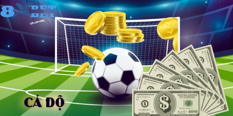 Những lý do khiến CMD Sport 8XBet là địa chỉ đáng để trải nghiệm 1 lần