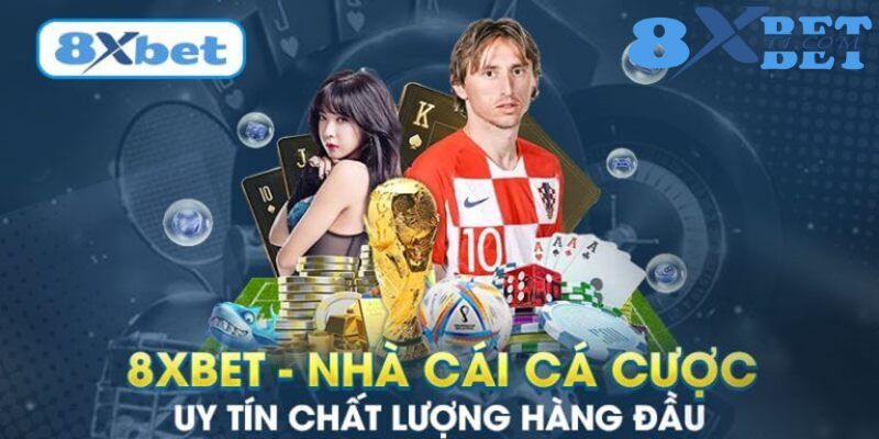 Trách nhiệm người chơi 8XBet